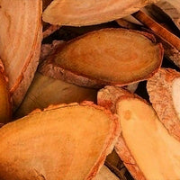 Tongkat Ali (Eurycoma Longifolia)