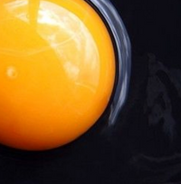 Vitamin K2 (Menaquinone-7)