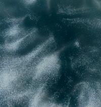 Zinc (Bisglycinate Chelate)